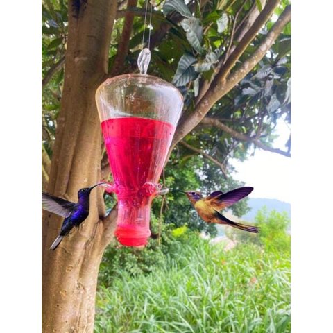 Bebedouro De Vidro Temperado Para Beija Flor E Pássaros 600ml