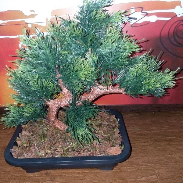 Bonsai Artificial Etéreo Cósmico Real no Vaso Preto - 2