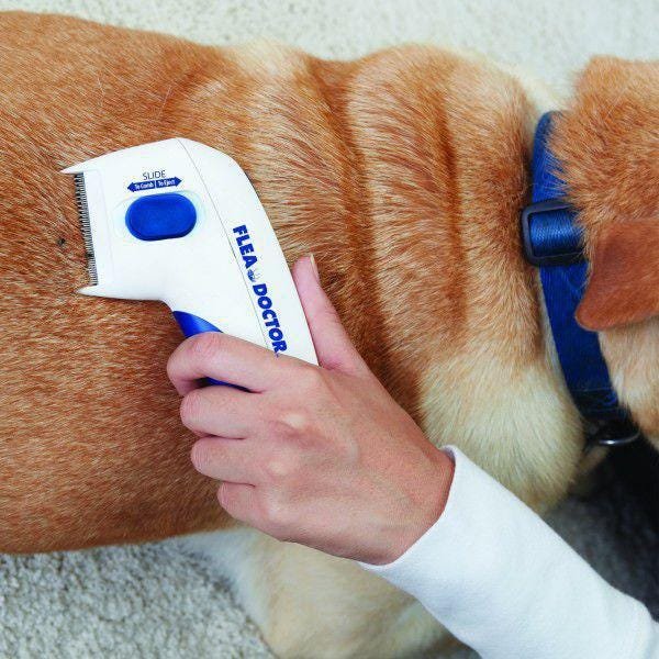 Pente Mata Pulgas Carrapatos Para Cachorro Eletrico Gatos - 3