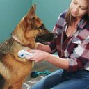 Ver imagem 3 de Pente Mata Pulgas Eletrico Cachorro Caes Pets