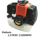 Ver imagem 5 de Podador de Galhos a Gasolina Importway Iwpag2t52 de 52cc com Extensor 2,95m. Alcança Ate 4,90m por U