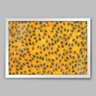 Quadro Cozinha Maracujá Polpa - 90x60cm - Moldura Caixa Branco - 1
