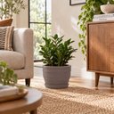 Ver imagem 2 de Prato para Vaso Cachepot de Plantas 27,5cm Tramontina PP Polietileno Concreto Cinza