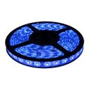Ver imagem 2 de Fita LED 5050 Azul Rolo 5m com fonte 12V 2A