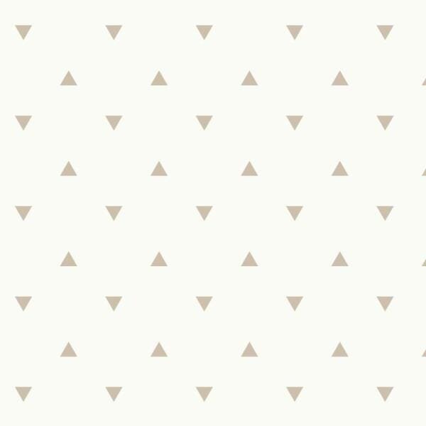 Papel de Parede Infantil Adesivo Lavável Geométrico C4246 - 2