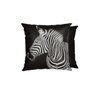 ALMOFADA BELCHIOR QUADRADA 43 X 43 SILK HOME - UN - PRETO-ZEBRA - 1