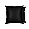 ALMOFADA BELCHIOR QUADRADA 43 X 43 SILK HOME - UN - Preto - 1