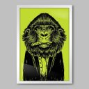 Ver imagem 1 de Quadro Animal Macaco Vestes - 20x30cm - Moldura Padrão Branco