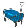 Carrinho Dobrável Camping Articulado Importway Iwcdcaaz Azul - 1