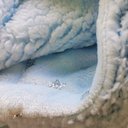 Ver imagem 2 de Manta Sherpa Flannel Estrelinhas 75x100 Azul