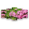 Quadro Decorativo Saxifraga Rosa 129x61 5pc Sala - 1