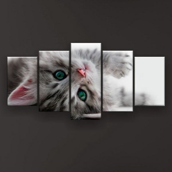 Quadro Decorativo Gato Deitado Olho Azul 129x61 5pc Sala - 1