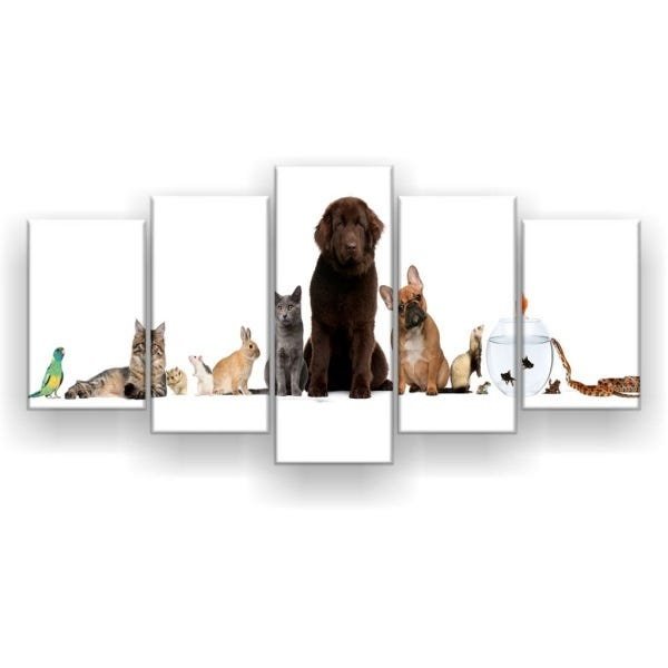 Quadro Decorativo Fila Paralela Pets 129x61 5pc Sala - 2