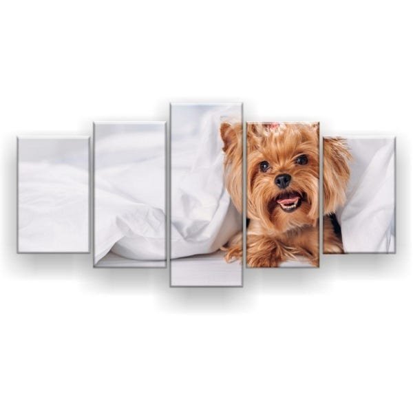 Quadro Decorativo Yorkshire Lençol 129x61 5pc Sala - 1
