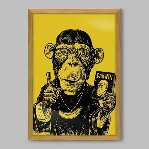 Quadro Animal Teoria da Evolução - 90x60cm - Moldura Caixa Madeira - 1