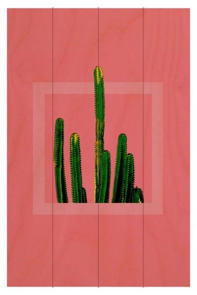 Quadro Cactus 60x40 - 2