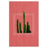 Quadro Cactus 60x40 - 2