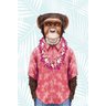 Quadro Macaco Havaiano 60x40 - 2