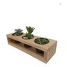 Suporte Porta Suculentas e Mini Cactos em Madeira Pinus Compacto Organizador - 1