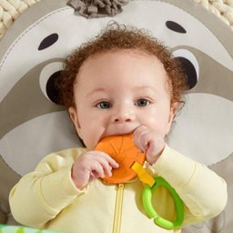 Ginasio De Atividades Fisher Price Gnb52 - Bicho Preguiça - 7