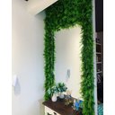 Ver imagem 4 de Placas De Grama Artificial Para Parede Decoração Amazonia