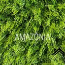 Ver imagem 1 de Placas De Grama Artificial Para Parede Decoração Amazonia