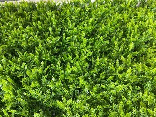 Placa De Grama Artificial Para Decoração De Parede Samambaia - 6