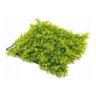 Placa De Grama Artificial Para Decoração De Parede Samambaia - 10