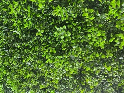 Placa De Grama Artificial Para Decoração De Parede Primavera - 11