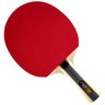 Raquete de Ping Pong Dhs 1002 Preta/vermelha + Raqueteira - 1