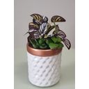Ver imagem 4 de ARRANJO CACHEPOT DE FLORES ARTIFICIAL SUCULENTA VASO 9330