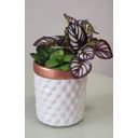 Ver imagem 5 de ARRANJO CACHEPOT DE FLORES ARTIFICIAL SUCULENTA VASO 9330