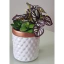 Ver imagem 2 de ARRANJO CACHEPOT DE FLORES ARTIFICIAL SUCULENTA VASO 9330