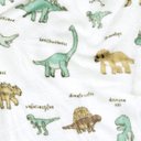 Ver imagem 2 de Manta Cobertor Lutti Solteiro Infantil 220g/m² 2,20x1,50m Fofinha Não Desbota Dinossauro Verde
