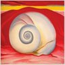 Quadro Geórgia O'keeffe Concha Tela Moldura Preta 40X40Cm - 2