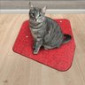 Kit 2 Tapete Pet em Feltro Dobrável Linha Fun Vermelho Grená - 1