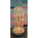 Ver imagem 1 de Luminária Galáxia Luzes de Fada Redoma de vidro e base de madeira - G (28 cm de altura por 13 cm de 