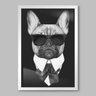 Quadro Animal Bulldog Francês P&B - 45x30cm - Moldura Padrão Branco - 1