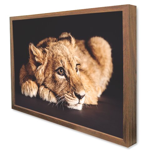 Quadro Decorativo Caixa Filhote do Predador Tacolado Moldura Caixa Alta 4,5cm Madeira com Vidro 80 X