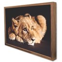 Ver imagem 1 de Quadro Decorativo Caixa Filhote do Predador Tacolado Moldura Caixa Alta 4,5cm Madeira com Vidro 80 X