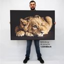 Ver imagem 2 de Quadro Decorativo Caixa Filhote do Predador Tacolado Moldura Caixa Alta 4,5cm Madeira com Vidro 80 X