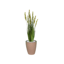 Ver imagem 1 de Planta Árvore Artificial Grass com Grão 90 cm Kit + Vaso E. Bege 30 cm