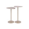 Mesa Lateral Wing Baixa Organica 39x34cm Decoração Moderna:champagne - 6