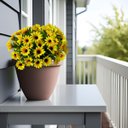 Ver imagem 6 de Kit 12 Plantas Girassóis Amarelos Baratos para Decoração Rústica, Fazenda Interna Qualidade Realista