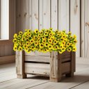 Ver imagem 1 de Kit 12 Plantas Girassóis Amarelos Baratos para Decoração Rústica, Fazenda Interna Qualidade Realista