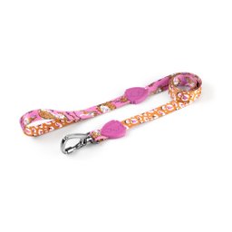 Freefaro Guia Tradicional 1,2m Savage - M - 5