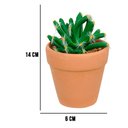Ver imagem 4 de Vaso com Cacto Castelo de Fada Verde 14x6 cm - D’Rossi