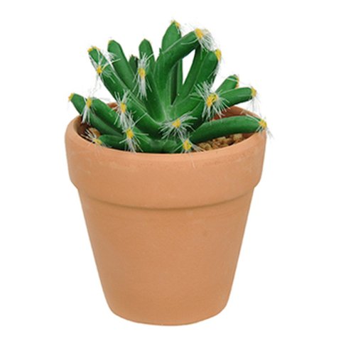 Vaso com Cacto Castelo de Fada Verde 14x6 cm - D’Rossi