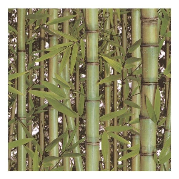 Papel de Parede Vinílico Floral Neonature 5 Bambu Verde - 1