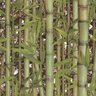 Papel de Parede Vinílico Floral Neonature 5 Bambu Verde - 2